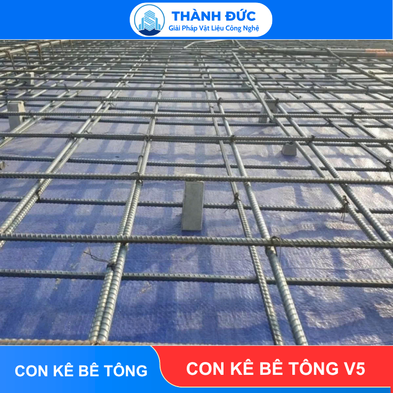 Con Kê Bê Tông V5 Thành Đức feedback thanh duc 2026 06 22T113232.222 - Con Kê Bê Tông V5 Thành Đức