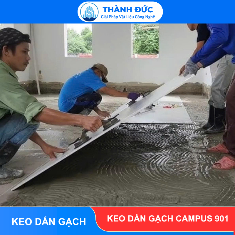 Keo Dán Gạch Campus 901 - Nội Thất & Ngoại Thất Có Mái Che feedback thanh duc 2026 06 18T160740.302 - Keo Dán Gạch Campus 901 - Nội Thất & Ngoại Thất Có Mái Che