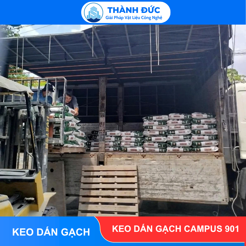 Keo Dán Gạch Campus 901 - Nội Thất & Ngoại Thất Có Mái Che feedback thanh duc 2026 06 18T161457.312 - Keo Dán Gạch Campus 901 - Nội Thất & Ngoại Thất Có Mái Che
