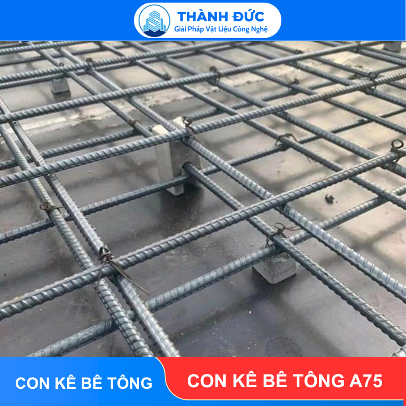 Con kê bê tông A75 feedback thanh duc 2026 06 22T090513.169 - Con kê bê tông A75