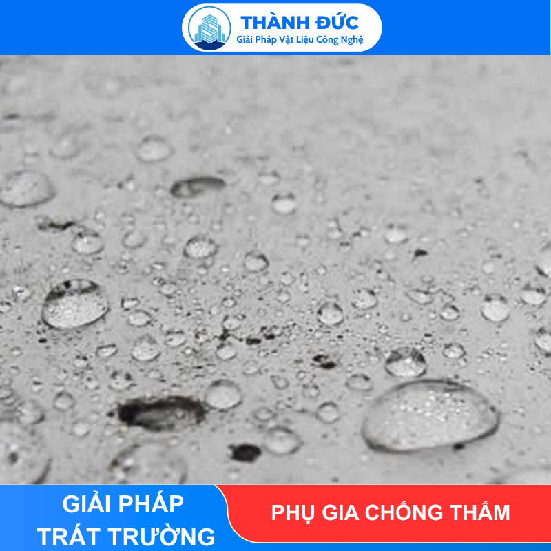 Phụ Gia Chống Thấm Thành Đức - Túi 1kg feedback thanh duc 2026 06 15T091505.777 - Phụ Gia Chống Thấm Thành Đức - Túi 1kg