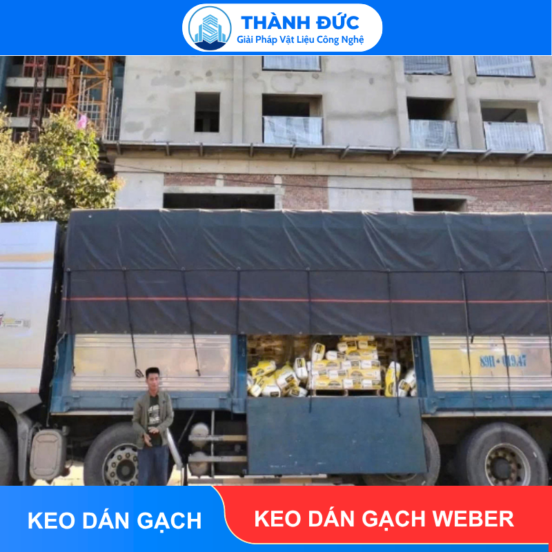 Keo Dán Gạch Weber - Thành Đức Tổng Kho Phân Phối Toàn Quốc feedback thanh duc 2026 06 19T084905.651 - Keo Dán Gạch Weber - Thành Đức Tổng Kho Phân Phối Toàn Quốc