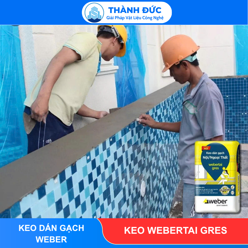 Keo Dán Gạch Webertai gres cho gạch khổ lớn feedback thanh duc 2026 06 12T115903.737 - Keo Dán Gạch Webertai gres cho gạch khổ lớn