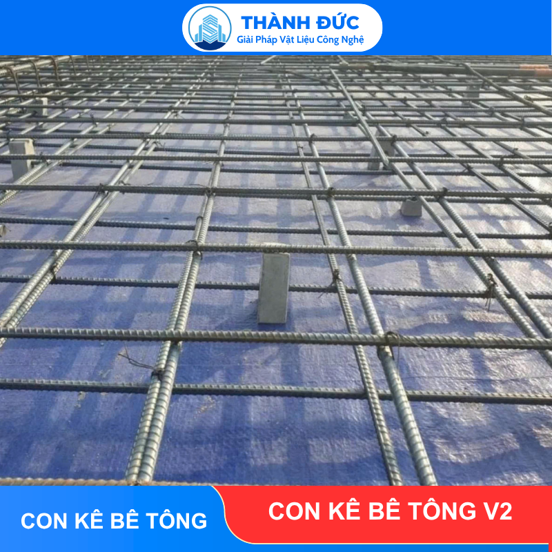 Con Kê Bê Tông V2 Thành Đức feedback thanh duc 2026 06 19T160257.476 - Con Kê Bê Tông V2 Thành Đức